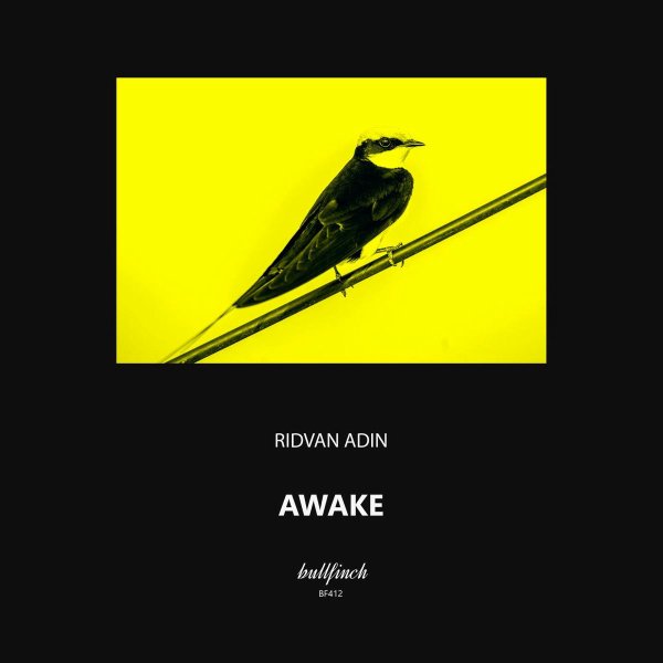 Rıdvan Adin - Awake