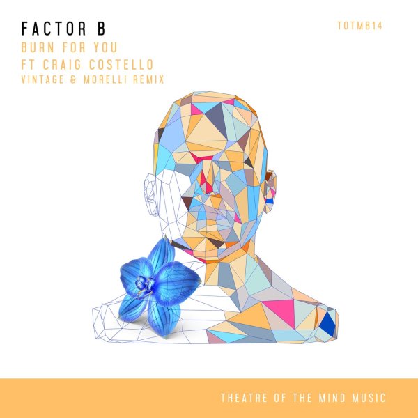 Factor B, Craig Costello - Burn For You (Vintage &amp; Morelli Extended Remix)