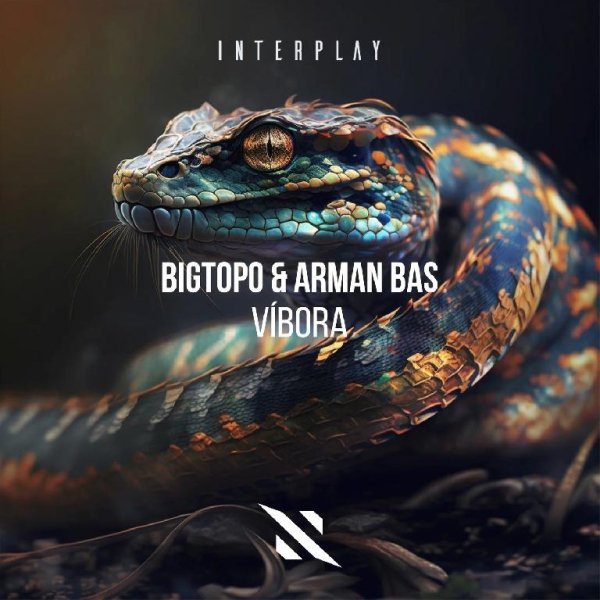 Bigtopo &amp; Arman Bas - Vibora (Extended Mix)