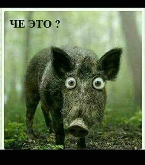 Smeh Budete Dolgo smeyatbsya podnimite sebe nastro  Будете Долго смеяться - Будете Долго смеяться