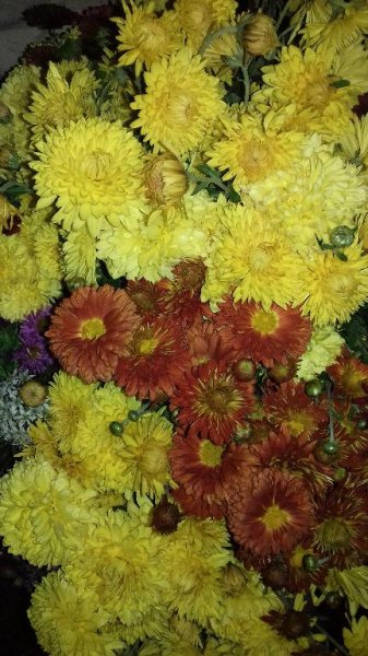 Alex Rasov - Just To be in love