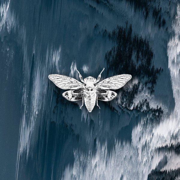 Encounter - Aftermidnight