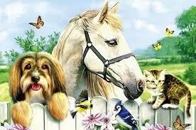 Животные - Хор животных .Прикольно )