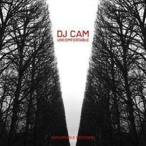 Dj Cam - Birds also sing for Anamaria