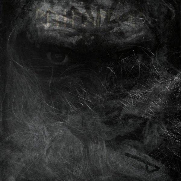 Danheim - Сборка