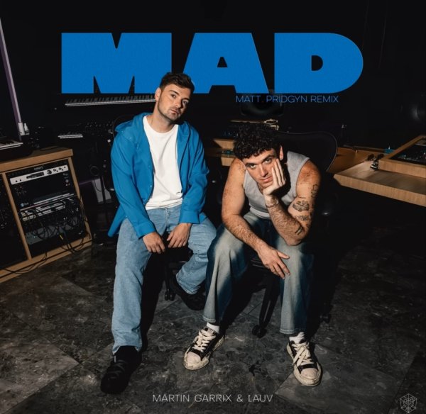 Martin Garrix &amp; Lauv - MAD [Mat Pridgyn Remix]