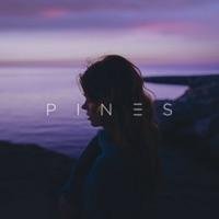 PINES feat. Tailor - What You Need