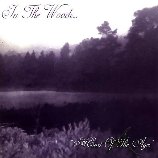 In The Woods… - Yearning The Seeds Of A New Dimension