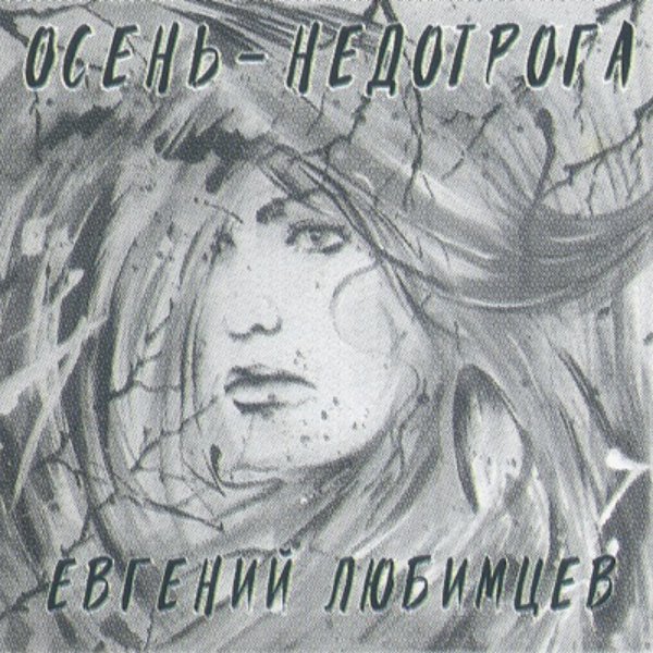 Любимцев Евгений - А ты не плачь, когда метели воют