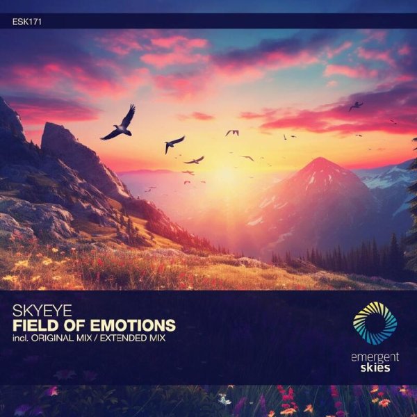 SkyEye - Field of Emotions