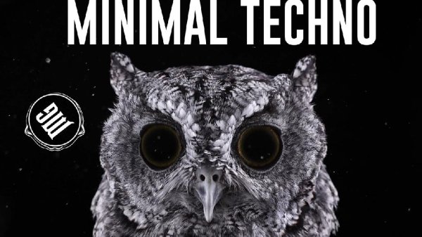 EVIL OWN - MINIMAL TECHNO ENERGY 2021