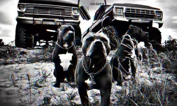 Российские Исполнители - БАНДИТСКИЕ ТРЕКИ В МАШИНУ! ЛУЧШАЯ ПАЦАНСКАЯ МУЗЫКА 2023!