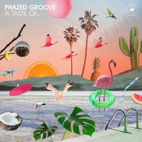 Phazed Groove - The 9 Bar