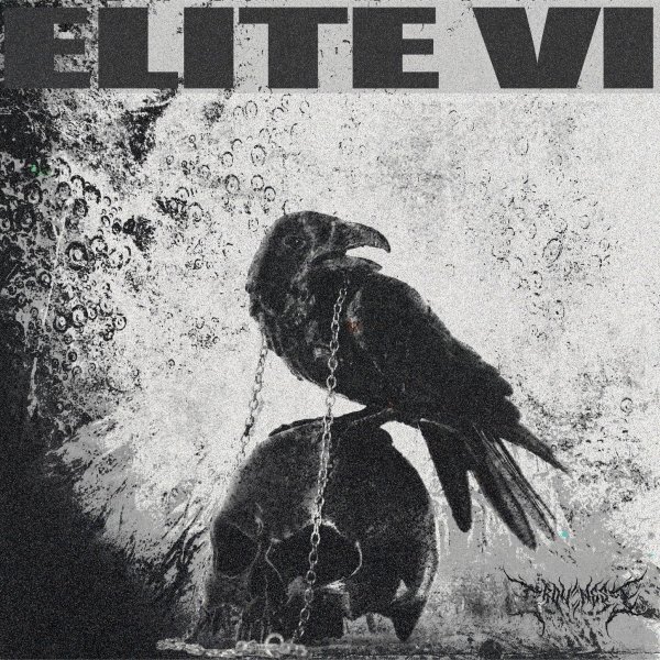Misfit - See What I See