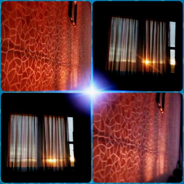 @Strelka700 - Говорим про наших собачек...