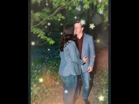 Alvydas Alvydas - Žibuoklių alėjoje