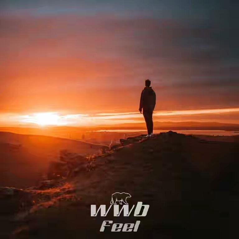 Whitewildbear - Feel (Original Mix)