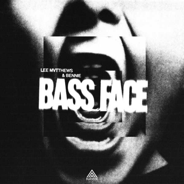 Lee Mvtthews, Bennie - Bass Face