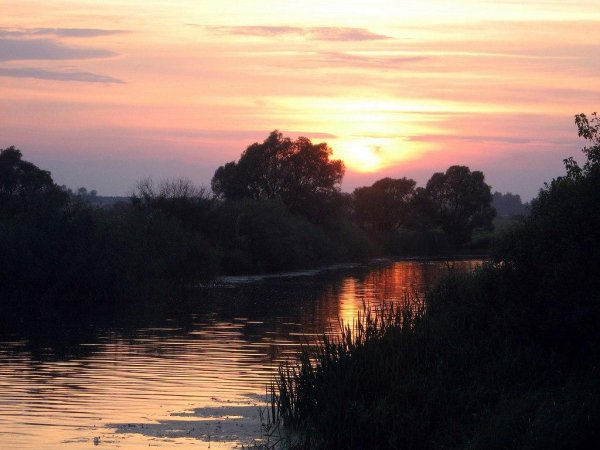 Szentpéteri Csilla Band Fiesta (La Gazza Ladra -Ov - Szentpéteri Csilla Band Fiesta (La Gazza Ladra -Overture Theme of Rossini)