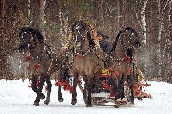 Chajkovskij_Vremena_goda_Nojabr_Trojka - Чайковский Ноябрь Тройка