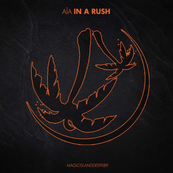Roger Shah, AIA - In A Rush (Extended Mix)