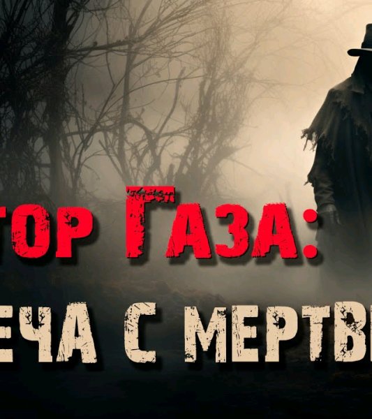 Сектор Газа - Встреча с мертвецом (cover by Частный сектор)