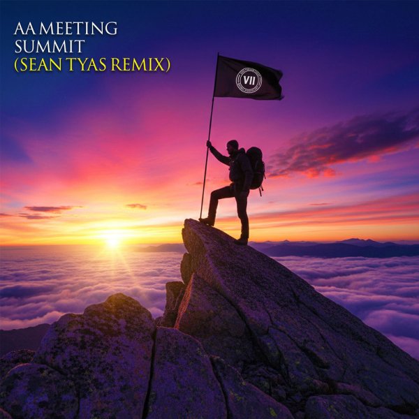 AA Meeting - Summit (Sean Tyas Remix)