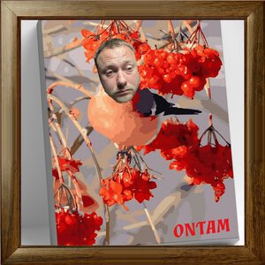 ONTAM - Рябина в саду