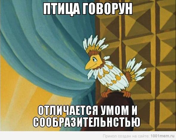 Птица Говорун - Отличается умом и сообразительностью !