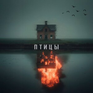 Spank your monkey - Птицы