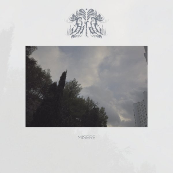 Hilde - Tradescantia