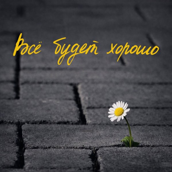 PavLova - всё будет хорошо