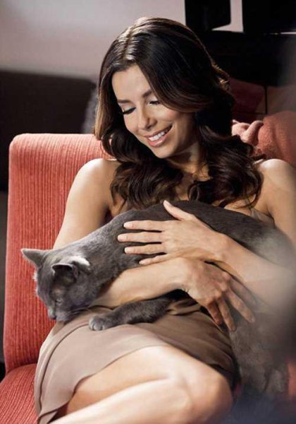 SHEBA - 