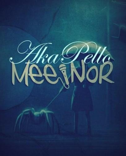 Mee-NoR &amp; AkaPello - Начать это всё ценить