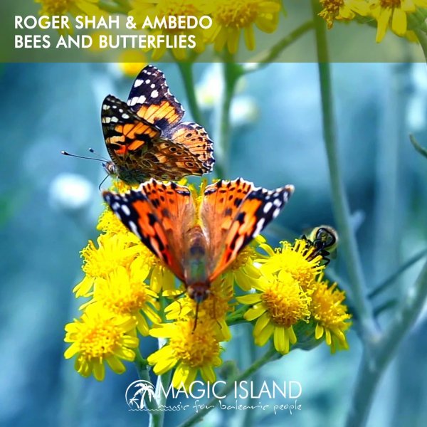 Roger Shah &amp; Ambedo - Bees and Butterflies (Instrumental Mix)