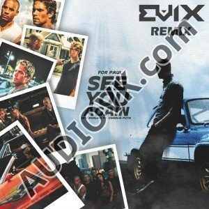 Wiz Khalifa - See You Again (Ft. Charlie Puth)