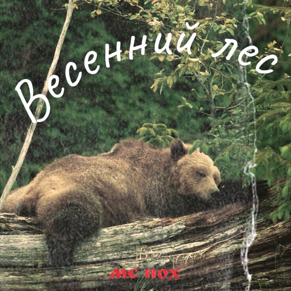 МС ПОХ - Весеннии лес