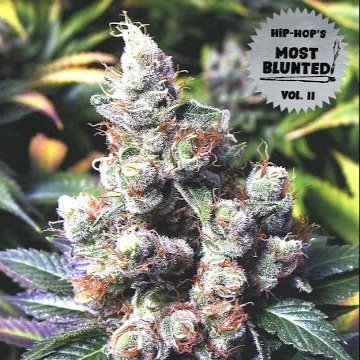 VA - Hip Hop`s Most Blunted Vol.2 (2025)