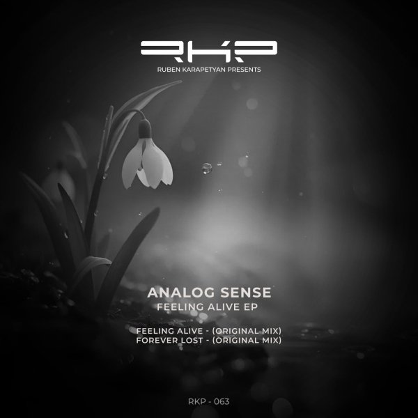 Analog Sense - Feeling Alive