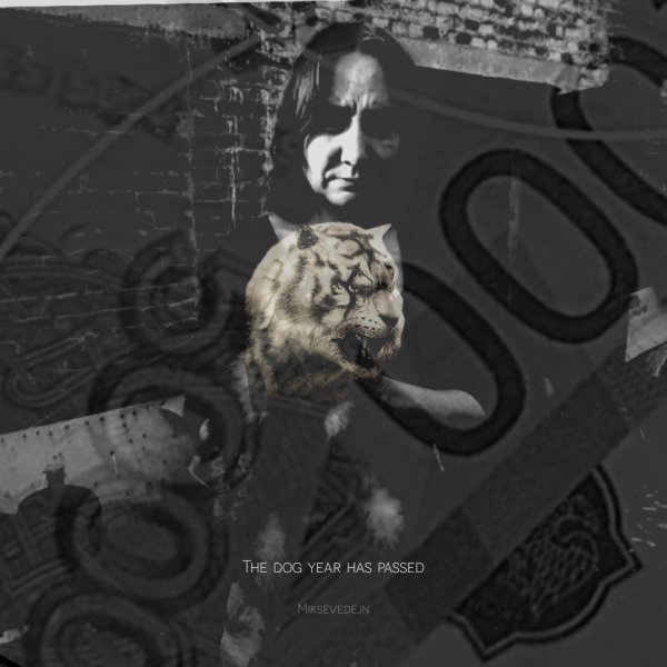 Miksevedejn - The dog year has passed