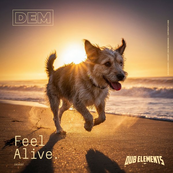 Dub Elements - Feel Alive (Original Mix)