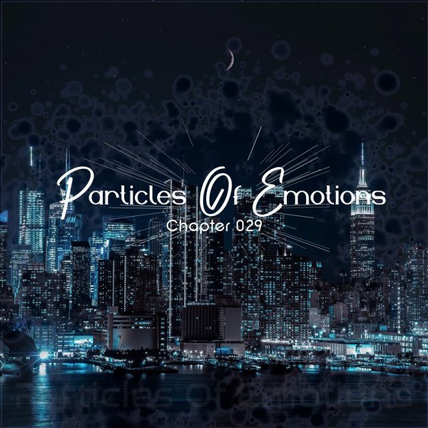 Sauli - Focus