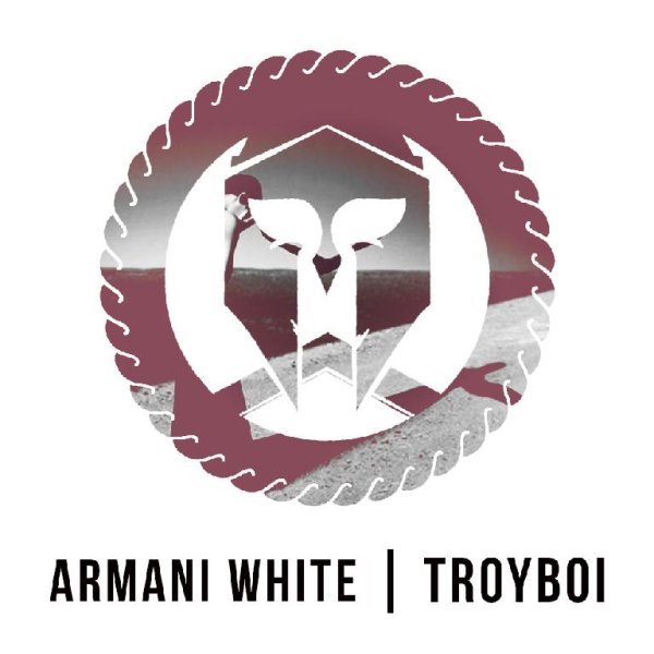 TroyBoi - TroyBoi  Do You