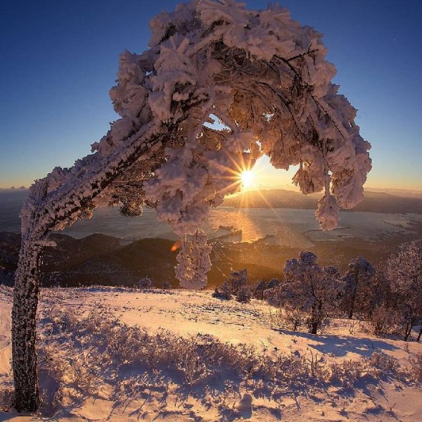 Michael Tilson Thomas  Swan Lake Op. 20_ VI. - Michael Tilson Thomas  Swan Lake Op. 20_ VI.