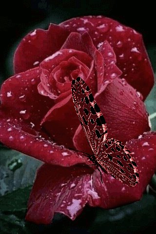 Алёна Росс - Пройдет печаль