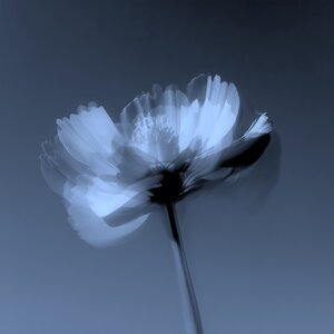 Stereo Friends, Monamax, Leenda - Think About