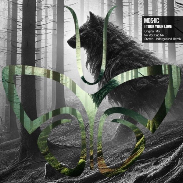 MOSHIC - I Took Your Love (Stereo Underground Remix)