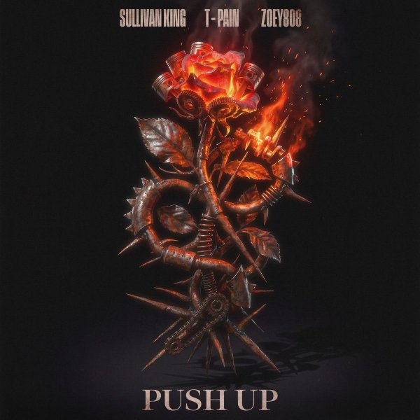 Sullivan King, T-Pain, Zoey808 - Push Up