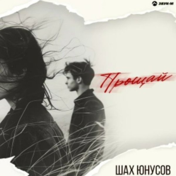 Шах Юнусов - Прощай/2026
