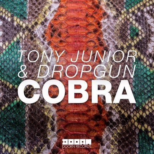 Tony Junior &amp; Dropgun - Cobra (Original Mix)